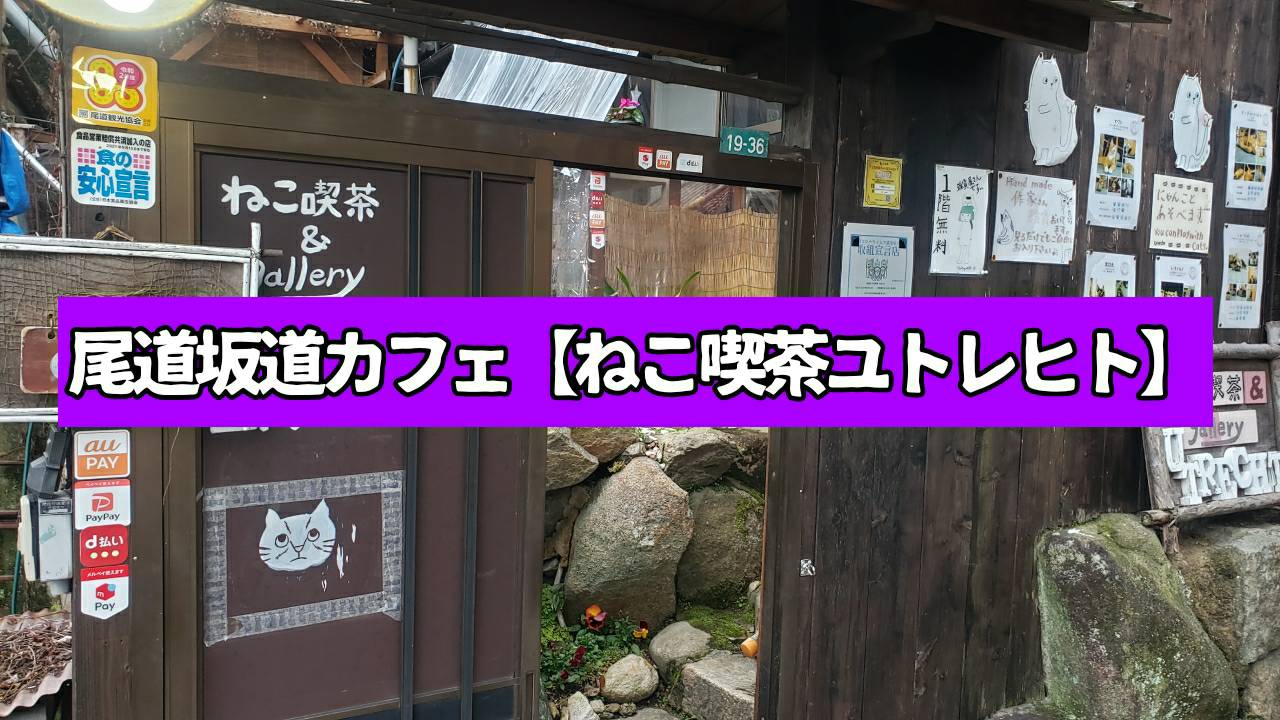 にしたくとりっぷ ねこ喫茶 Gallery Utrechtユトレヒト にしたくとりっぷ ねこ喫茶 Gallery Utrechtユトレヒト