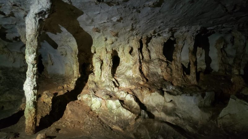 にしたくとりっぷ | 日本屈指の鍾乳洞【秋芳洞】見どころ・コース紹介